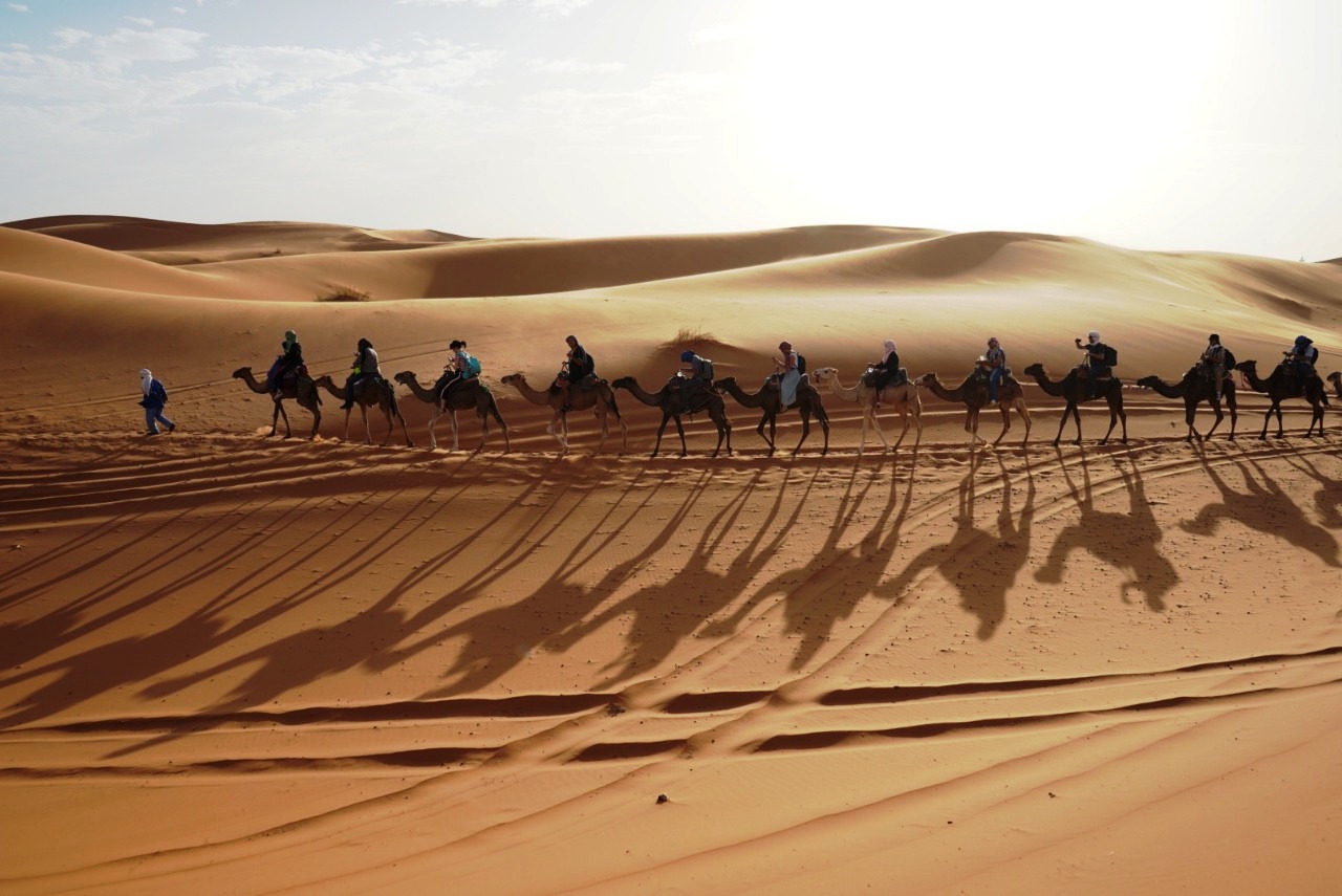 Camel Safaris Merzouga